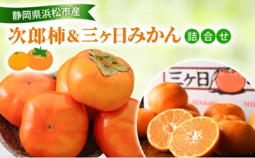 yÉlszy2026N11z Y`O݂l Y`9`12 2.5Kg OP݂ 3Kg M`L `  ݂ ~J  Zbgi l t[cZbg t[c ʕ