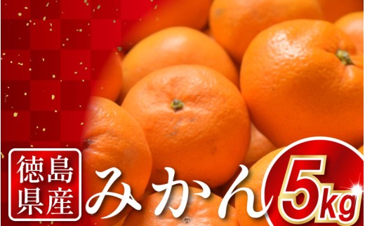 yODsz݂ 5kg {쑁 ͂Ђ Ƃ  k t[c ʕ IWW[X fU[g P[L ACX Ⓚ݂ V[xbg [[ XC[c َq Mtg 