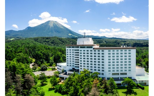 y挧˒zC194@I[CN[VuyAhҌ 