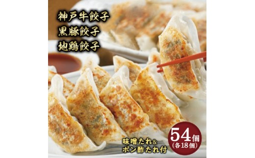 yɌsz ɓސu_ˋLqELqEn{Lqve1܃Zbg (t)y傤 M[U  _S y ȒP   ܂  ؓ {  W