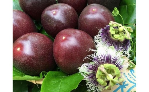 y˓zystz哇 pbVt[c 3kg@iolj