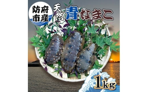 yRh{szh{sYVRȂ܂1kgy1687984z