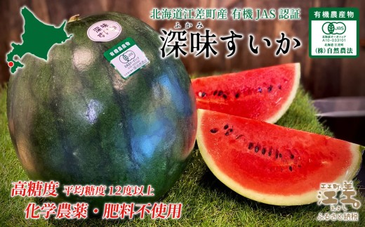 ykC]zy2026N8{JnzkCY  [   5.5kgȏ 1  L@_YiJASF؁j@x@w_sgp@I[KjbN@L@_Ɓ@XCJ@@Z