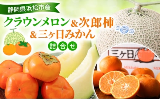 yÉlszy2026N11z NEY`O݂l NE11.3Kg  Y` 5`6 1.5Kg O݂ij3Kg M܂L ߂ 