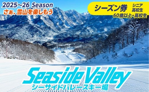 yVszV[TCho[XL[ V[Y (VjAEZ) 60ΈȏEZssityV s V[TCho[ XL[ Xm[{[h `Pbg tg