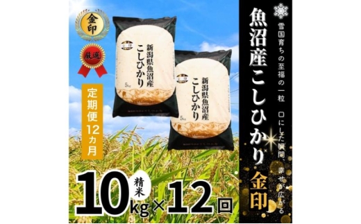 yV\szy֑S12񖈌zYRVqJ()10kg  Ђ  V s