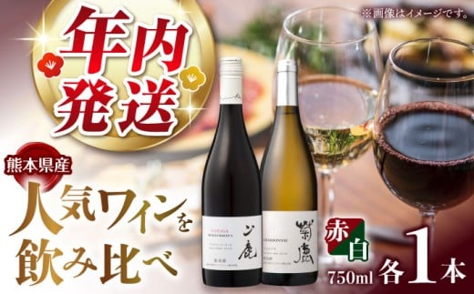 yF{RszyN1221܂ŁIzeVhl&R}XJbgx[[A2024 C2{Zbg ϔtyeCi[z [ZFB006]