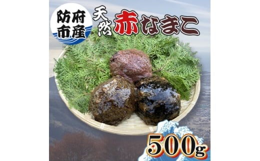 yRh{szh{sYVRԂȂ܂500gy1687970z