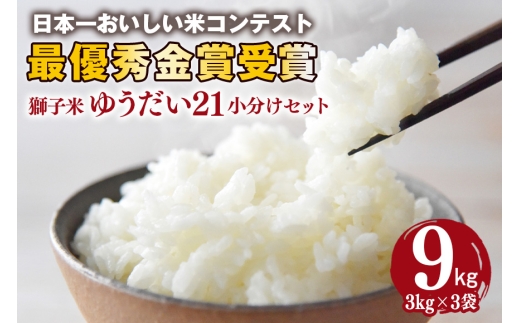 y錧Ήszq 䂤21  Zbg 9kg i3kg×3܁j      ͂ Yn Y 錧 Ήs B02-088