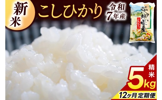 y錧sz12ց  RVqJ 5kg (v 60kg)yߘa7NYz   Ђ  錧 s Y   ͂ ɂ ߂Ă  S