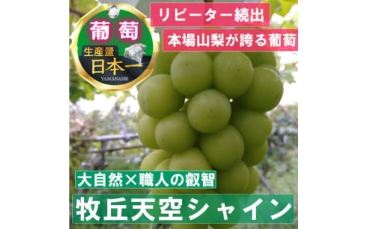 yRRsz2026Nst2026N9{uquṼVC}XJbgv 1kg(2`3[)y1473176z