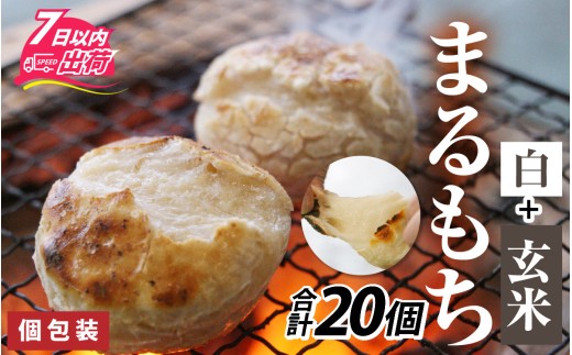 y䌧szʍ͔|ā@܂ƌĂ܂@v20 [A-020028] /   ^`E`  ` RV S Y G 񂴂 ۖ N Nn     