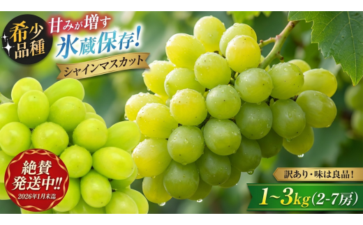 y쌧Kszy2026N1܂ŔĂ܂zy󂠂zÂ݂n Xۑ VC}XJbg2 kg (4`5[) | VC Ԃǂ  uhE  ʕ t[c }XJ