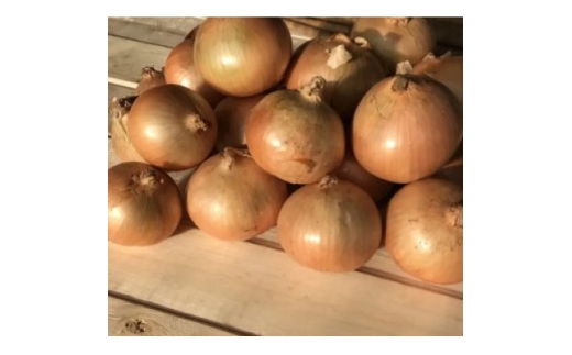 ykCэLsz󂠂聄kC \ эLY ʂ˂ 20kgy1677195z