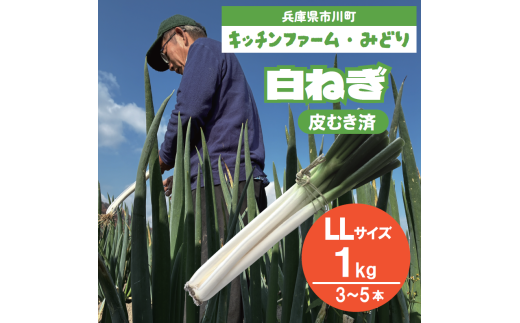 yɌs쒬zLb`t@[݂ǂ̔lM  LLTCY 1kg iނς݁j 006KM01N.^˂ lM lM ˂