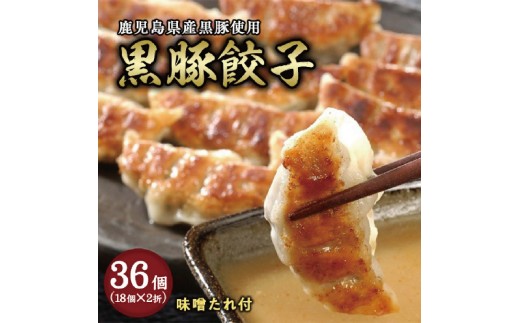 yɌsz ɓސuLqv2܃ZbgiX^tjyLq 傤 M[U  _S y  ܂ Ⓚ W[V[ ` Y  Yؓ ؓ