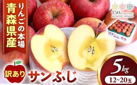 訳あり】りんご【サンふじ】約5kg（12～20玉）【2025年産】☆2026年1月