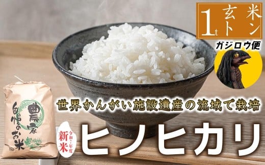 yɌ蒬zy  ʌ ͓̃KWE͂IIzߘa7NxY@qmqJ ā@ 1000kg@͂@ɌY@E񂪂{݈Yo^w`Hx