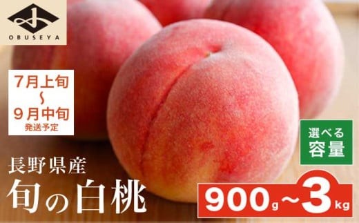 y쌧z{z{̔ 900g 2kg 3kg Iׂe mz{n 쌧Y    t[c ʕ Ԍ ʌ 쌧Y MBY N[ ① ܂ Ȃ 