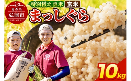 yXOOsz܂ 10kg mān ʞܔV XY ߘa7NY