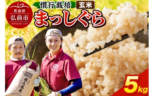 yXOOsz܂ 5kg mān s͔| XY ߘa7NY