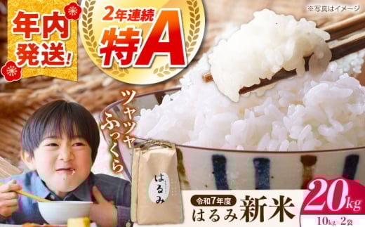 y_ސ쌧JzyNzyߘa7NYz V ͂ 20kg (10kg×2) _ސ쌧 JYyt@[z    R CX  ͂ ӂ   