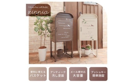 yɌszoXPbgtz{bNX zinnia(W[jA) zCg