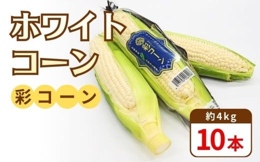 ys{szs\ yƂ낱z ʃR[ 4kg 10{ s2026N6`7t zCgR[ Ƃ낱 R[ XC[gR[ H H [H fU[g Â Y XC[