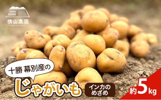 ykCʒzs\/2026NH kC \ ʎY Ⴊ CĴ߂ 5kgyR_z   tCh|eg |eg`bvX ϐFɂ ϕꂵɂ F k