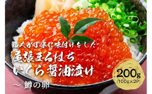 ymÉsz ݖЂ 200g(100g×2P) ̗ Ⓚ ܂͂