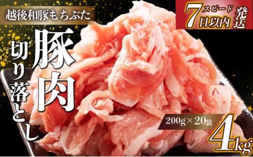 yVVcszؓ ؂藎Ƃ a Ԃ Ԑ؂ 4kg uh a؂Ԃ uh  ؓ  ɂ  [H ӂ͂ |[N   ֗ ̕ЎR V