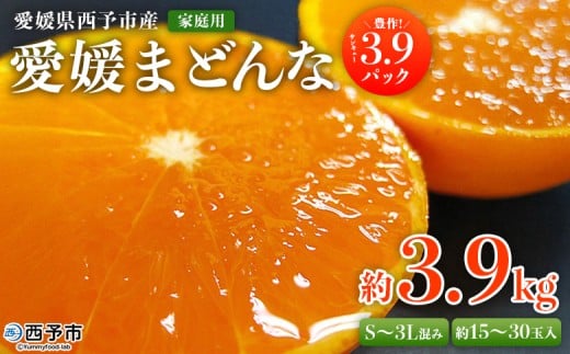 yQ\szg܂ǂȂƓiIQ\sY Q܂ǂ ƒp L 3.9pbN 3.9kg 󂠂 k ʕ t[c Qʎ28 }hi Hׂĉ Fs{Yy퉷z