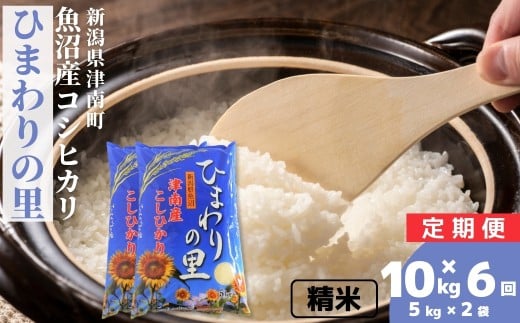 yVÓ쒬zy6ցzyߘa7NYz 10kg(5kg×2) Y RVqJ Ђ܂̗ | Ђ    R  ͂   uh  lC Mtg