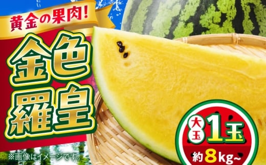 yF{uszy2026N s\zyʌz Fc 1ʓ 8kgȏ F XCJ Ây{t[cЁz [AYDA008]