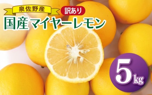 y{򍲖szy`CXzY}C[ 5kgy򍲖Y t[c ʕ  EG Yn 󂠂 TCYs ܂Ƃߔz