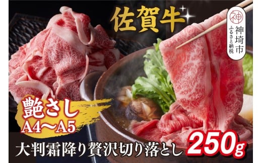 yꌧ_szIyA4`A5zꋍ唻~ґ؂藎Ƃ 250gyꋍ ؂藎Ƃ ~ [X 唻 ꖇ ؂ 250g z(H112339)