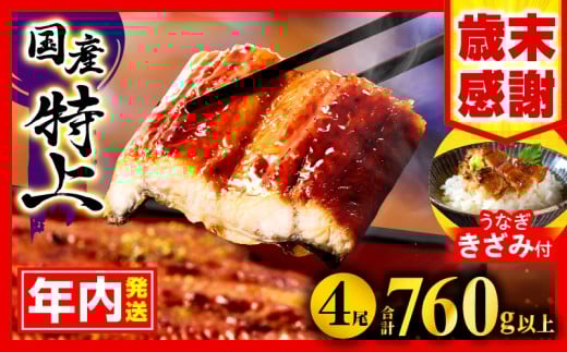 y{茧{szy2025N12\zyʁEԌzBYȂ4(v760gȏさ񂵂傤At)ȂĂ1ܕt V EiM Ȃ Y YV YȂ N