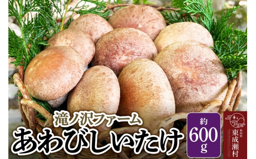 椎茸 あわびしいたけ 約600g 滝ノ沢ファーム 菌床 シイタケ きのこ