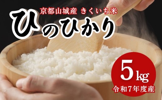令和7年度産 ひのひかり 5kg 京都山城産 きくいち米 ヒノヒカリ 2025