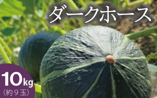 2026年産先行受付】かぼちゃ10kg 北海道当麻町産ダークホース - 北海道
