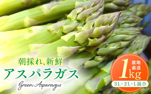 先行受付】R8年産 アスパラガス 1kg 山内農園 | 北海道津別町 - 北海道