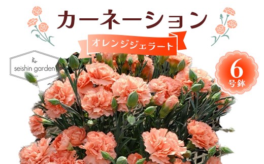 sd1_c885c29adb13fcdfe70bfc53cc