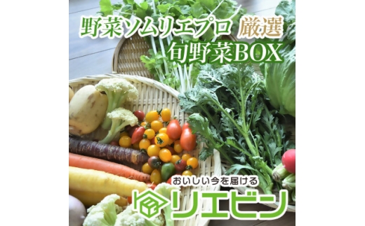 野菜ソムリエプロ厳選!こだわりの旬野菜BOX「リエビン」季節の野菜