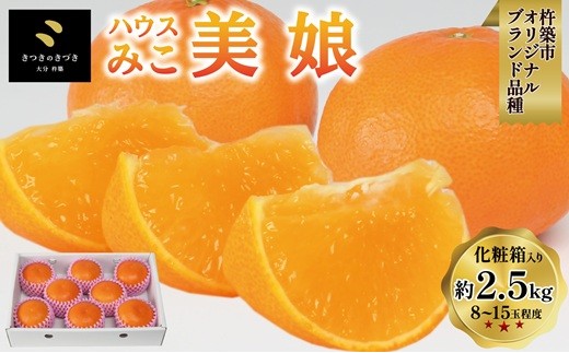 ハウス美娘 約2.5kg（化粧箱入） ／ ミカン みかん 蜜柑 柑橘類 美娘