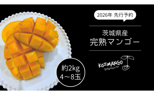 先行予約 2026年8月中旬順次発送】 完熟マンゴー 約 2kg ( 4～8玉