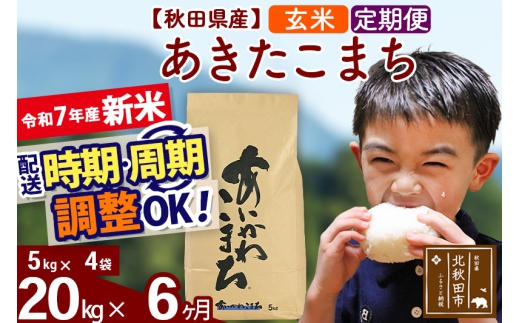 yHckHcszߘa7NY Vās6tHcY ܂ 20kgyāz(5kg) 2025NY ͂Iׂ ͂\ uɒOK  _Y