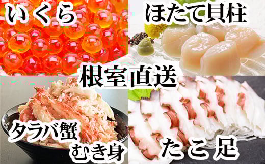 ykCszD-36053 y12/21܂ŔNzzقĊLEE^oKjނgEZbg