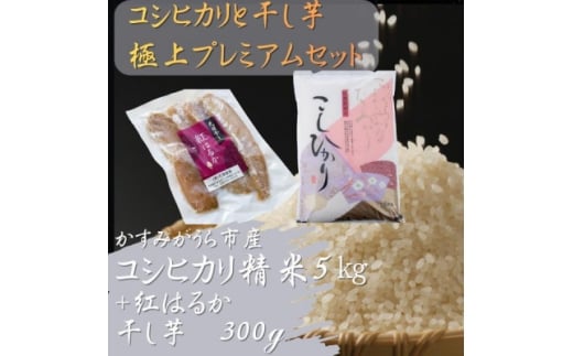 y錧݂szRVqJƊ̋ɏv~AZbg(5kg×300g)y1694101z