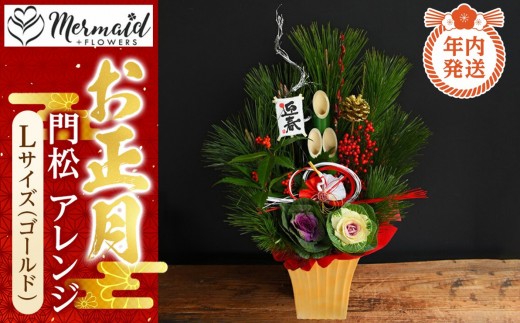 y{^szyNzy }t 2025zyȂ AW  叼AW LTCYiS[hjy Nz s\ NNn   ^s z