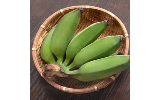 yꌧzJAȂ킪I!G߂̉ꌧYoii2kg({̕i킨܂)y1694030z